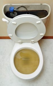 clogged toilet plumbing Venice, FL
